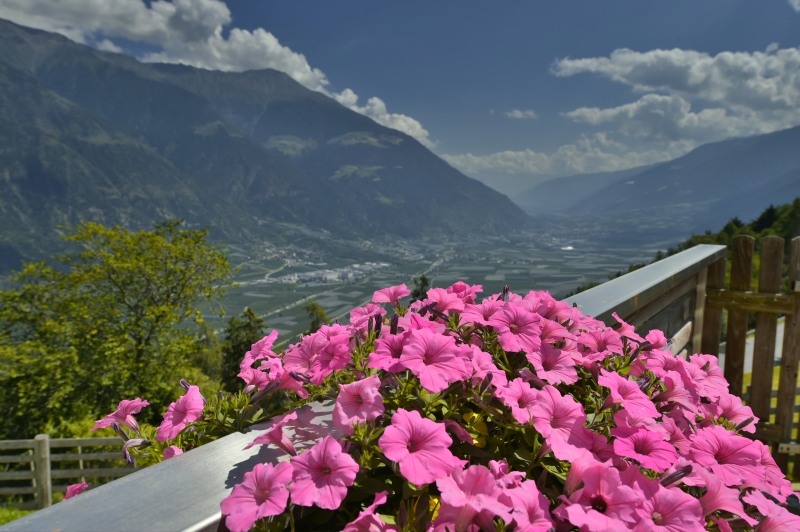 Blick in Richtung Meran